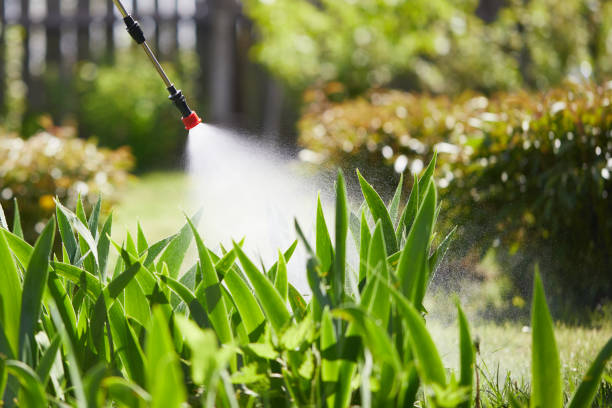 24/7 Emergency Mosquito Control experts in Murphy, TX