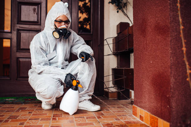 Reliable Mosquito Control contractor in Murphy, TX by Show Me Pest Control