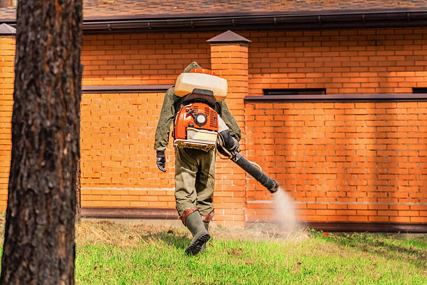 Top rated local Mosquito Control specialists in Murphy, TX